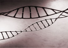 The DNA of Your Client Strategy